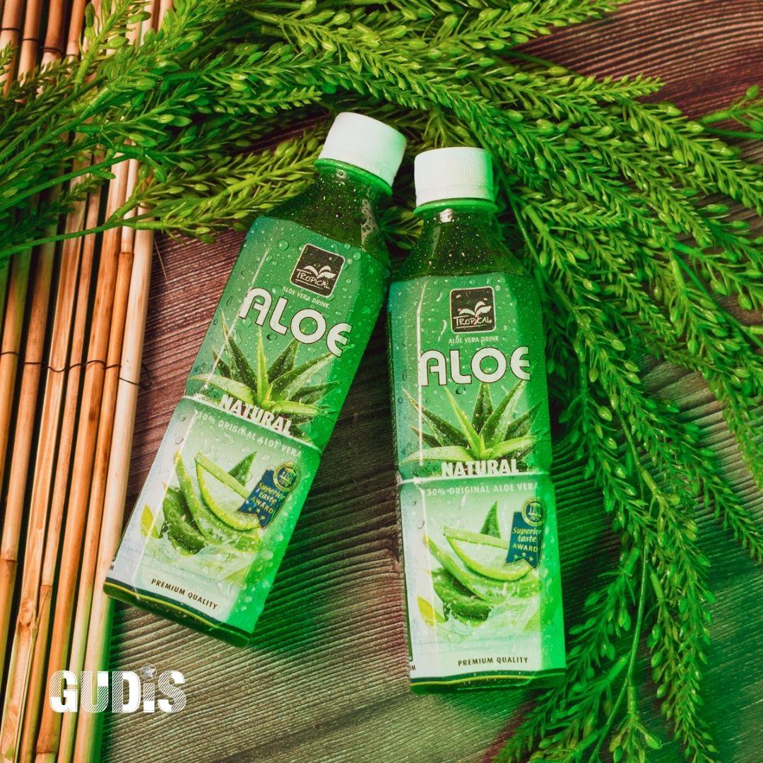 Bebida Aloe Vera Natural 500ml