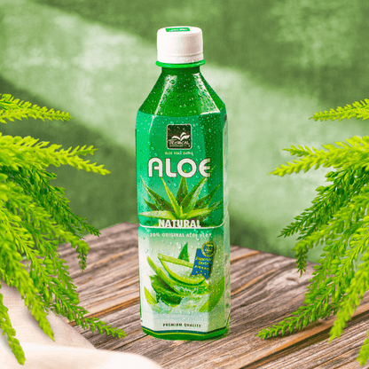 Bebida Aloe Vera Natural 500ml