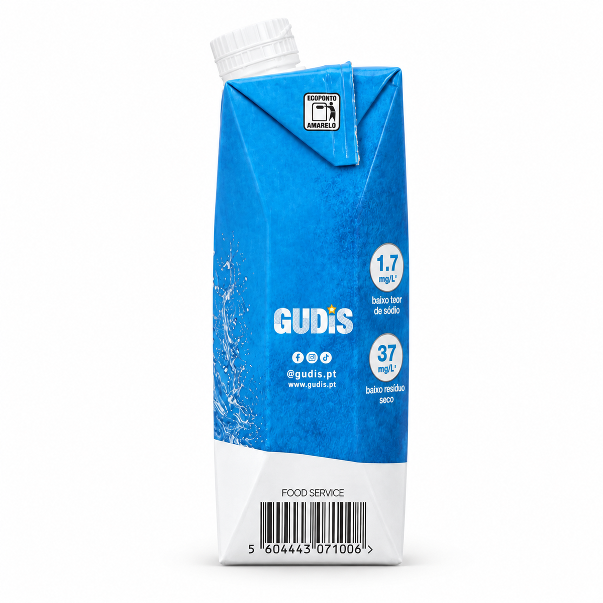 Água 100% Natural Gudis Tetra Pack 500ml